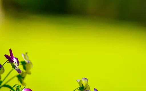 Power Of Prayer - Surrendering To The Flow Of Life