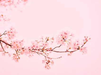 Power Of Purity In Turkish