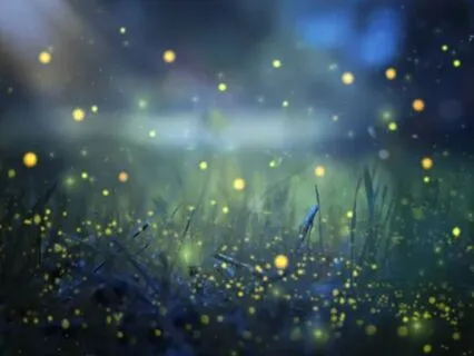 Power Of The Heart - Fairy Stick