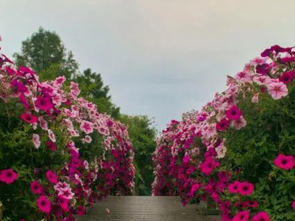 Power Reset For Radical Self-Grace