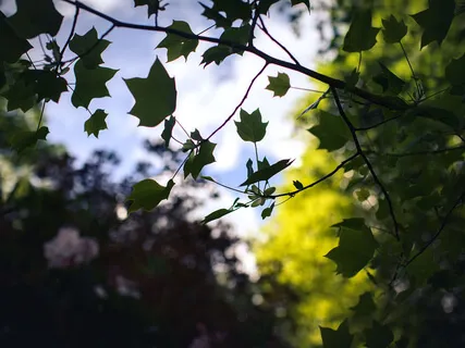 Power Up When Feeling Powerless - The Healing Power Of The Breath