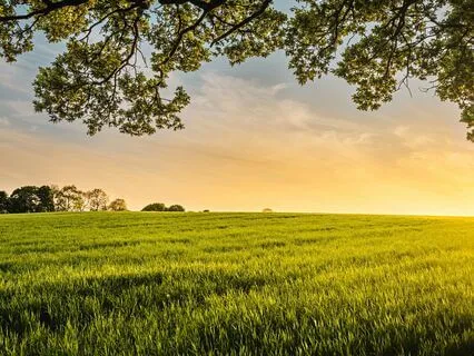 Powered By Peace Sound Healing