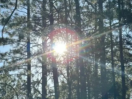 Powerful 10 Minute Breathing Meditation