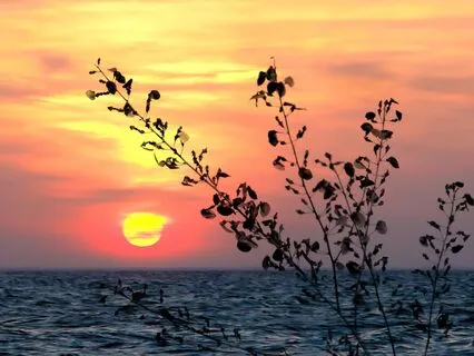 Powerful 369 Hz + 432 Hz + 528 Hz Tuning Forks (Gamma)