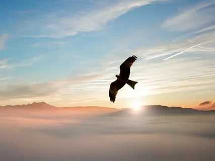 Powerful Affirmations (Ideal For Mornings)