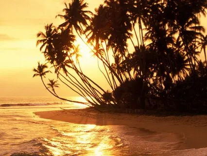 Powerful And Calming Ocean Waves For Deep Sleep