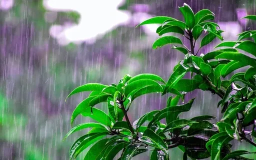 Powerful Audio | Music, Rain, Thunder and Heartbeat | VIBE