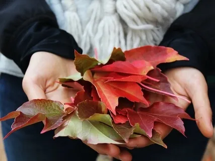 Powerful Autumn Equinox Guided Meditation