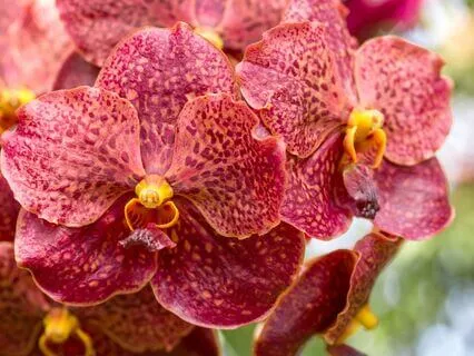 Powerful Chakra Activation Meditation For Full Energy Reset