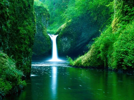 Powerful Daily Grounding Affirmations