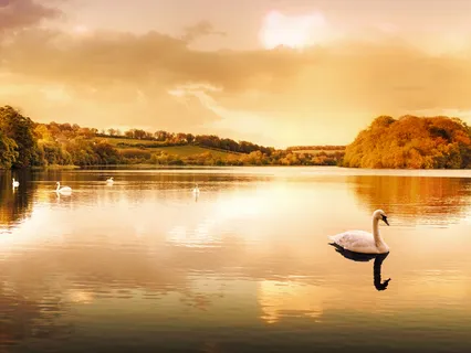 Deep, Grounding Root Chakra Sound Session