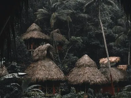 Powerful Earth Purification