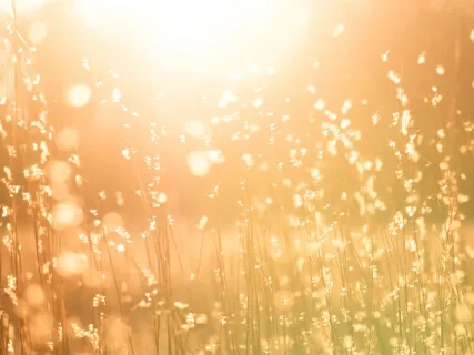 Powerful Energy Cleanse, Healing, Detoxify 