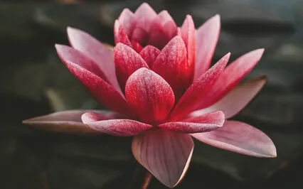 Powerful Forgiveness Meditation