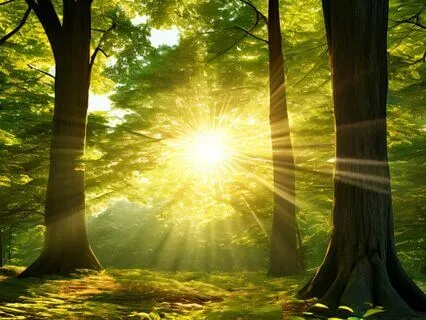 Powerful Grounding Morning Affirmations To Rise And Shine