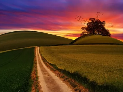 Powerful Healing & Deep Sleep 