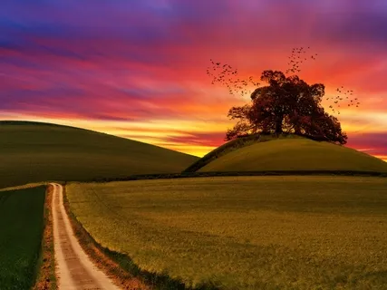 Powerful Healing & Deep Sleep