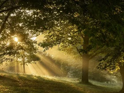 Powerful Healing - Let Your Body Breath