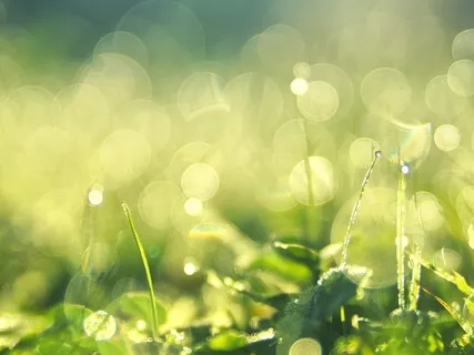 Powerful Healing With Archangel Raphael 