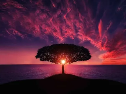 Powerful Heart Opening & Deep Sleep