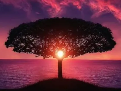 Powerful Heart Opening & Deep Sleep - 11h