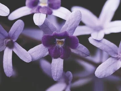 Powerful Humming Meditation 7 Minute Meditation