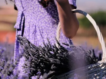 Powerful “I Am” Gratitude Affirmations For Well-Being