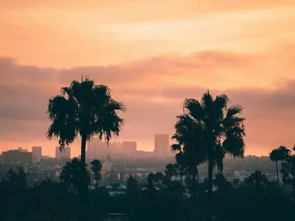 Powerful Manifestation Meditation