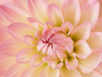 5 Minutes Guided Meditation Love And Peace