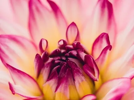 Powerful Morning Affirmations