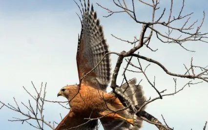 Powerful Morning Affirmations