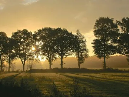 Powerful Morning 'I Am' Affirmations: 5 Minutes