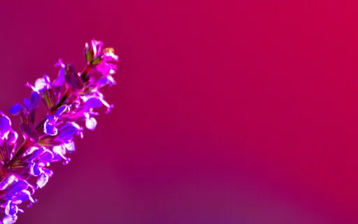 Powerful Morning Routine For Intentional Living