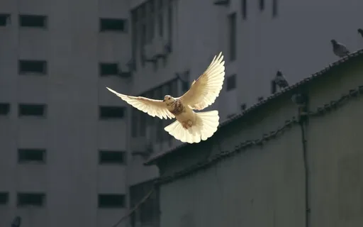 Powerful Music To Give You A Moment