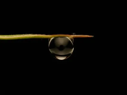 Powerful Nature Nidra To Nourish & Soothe