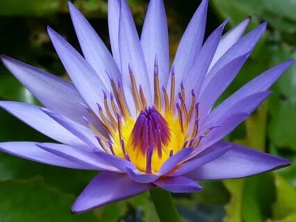 Powerful Healing Frequencies - Music Therapy