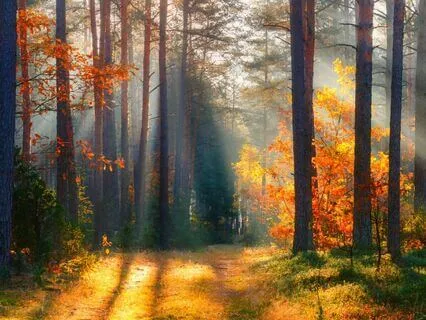 Powerful Morning Affirmation In Just One Minute