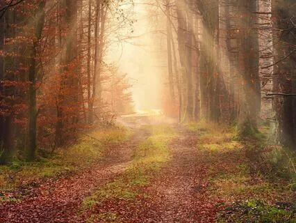 Powerful Prayer: Fear Is Not My Portion