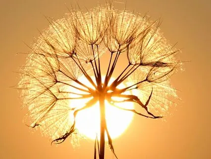 Powerful Prayer For A Grateful Heart