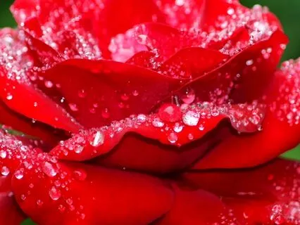 Powerful Root chakra Alignment