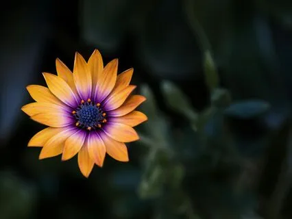 Powerful Sacral Chakra Activation