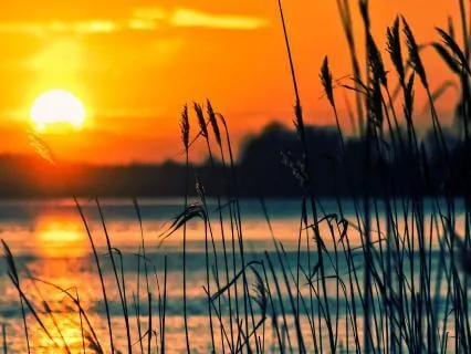 Powerful Self-Reflection Meditation