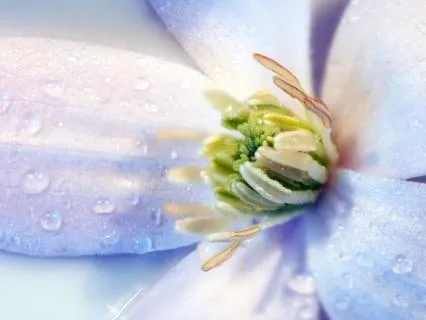 Powerful Sleep Affirmations - Law Of Attraction Breakthrough