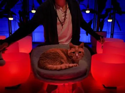 Powerful Sleep Sounds