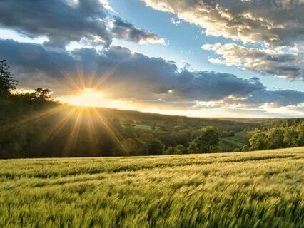 Powerful Sleeping Aid