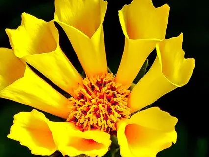 Powerful Solar Plexus Activation