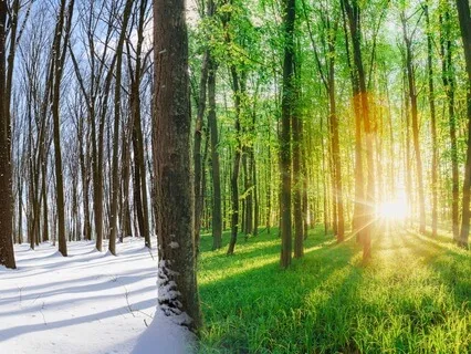 Powerful Spring Equinox Affirmations For New Beginnings