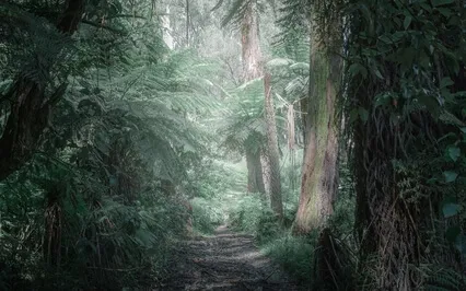 Powerful Subliminal Affirmations + Gamma 30Hz