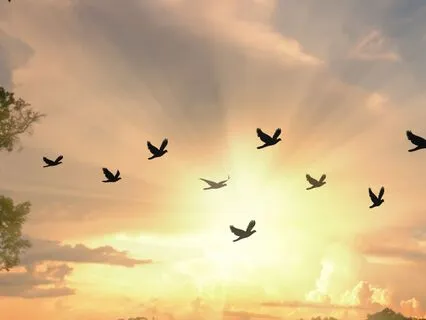 Powerful Subliminal - Free From Smoking