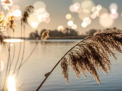 Powerful Sunrise Meditation: Good Morning Abundance!